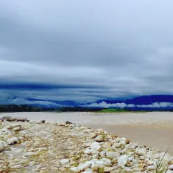 Arauca River - Arauca