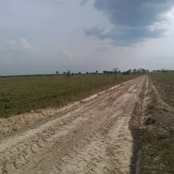 Los Llanos Plains - Arauca