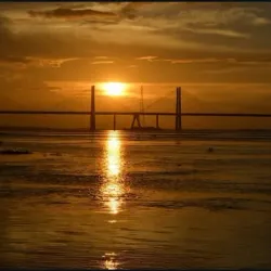 Orinoquia Bridge - Arauca
