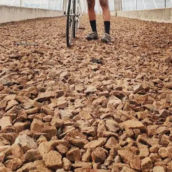 Orinoquia Bridge - Arauca