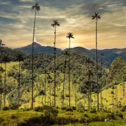Cocora Valley - Armenia