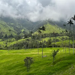 Cocora Valley - Armenia