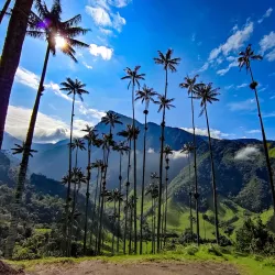 Cocora Valley - Armenia