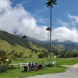 Cocora Valley - Armenia