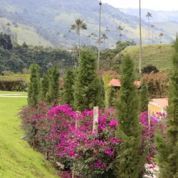 Cocora Valley - Armenia