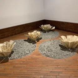 Coffee Museum (Museo del Oro Quimbaya) - Armenia