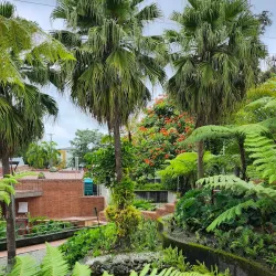 Coffee Museum (Museo del Oro Quimbaya) - Armenia