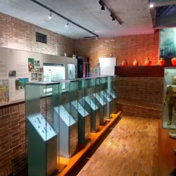 Coffee Museum (Museo del Oro Quimbaya) - Armenia