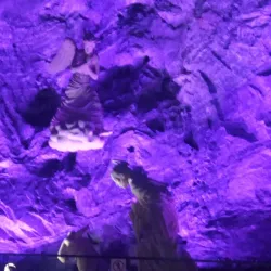 Cultural Center of Quindío - Armenia