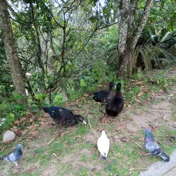La Tebaida Park - Armenia
