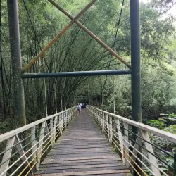 La Tebaida Park - Armenia
