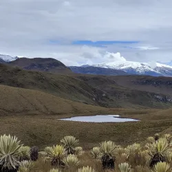 Los Nevados National Natural Park - Armenia