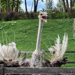 Panaca Theme Park - Armenia