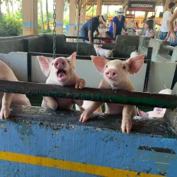 Panaca Theme Park - Armenia