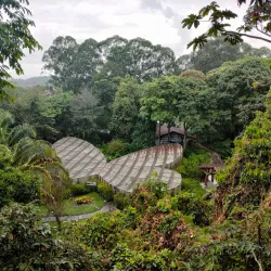 Quindío Botanical Garden - Armenia