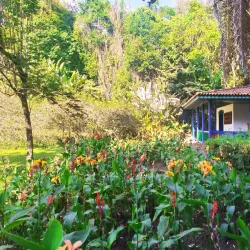 Quindío Botanical Garden - Armenia
