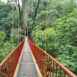 Quindío Botanical Garden - Armenia