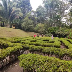 Quindío Botanical Garden - Armenia
