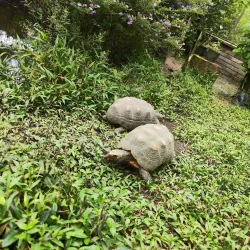 Quindío Botanical Garden - Armenia