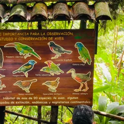 Quindío Botanical Garden - Armenia