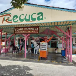 Recuca Coffee Farm - Armenia