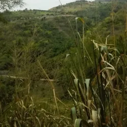 Río Suratá - Barbosa