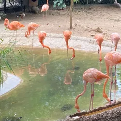 Zoológico de Barranquilla - Barranquilla