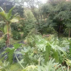 Parque Lineal La Presidenta - Bello