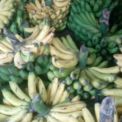 Plaza de Mercado de Bello - Bello