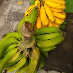 Plaza de Mercado de Bello - Bello