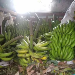 Plaza de Mercado de Bello - Bello