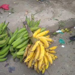 Plaza de Mercado de Bello - Bello
