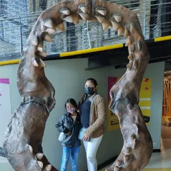 Maloka Interactive Center - Bogota