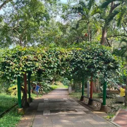 Parque de la Flora - Bucaramanga