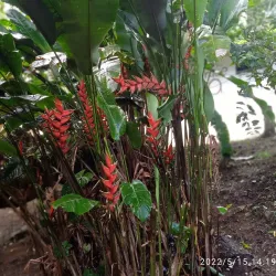 Parque de la Flora - Bucaramanga