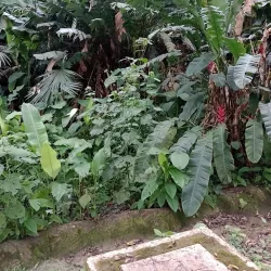 Parque de la Flora - Bucaramanga