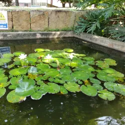 Parque del Agua - Bucaramanga