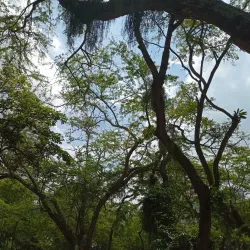 Parque San Pío - Bucaramanga