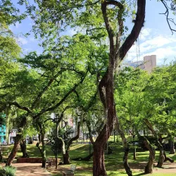 Parque San Pío - Bucaramanga