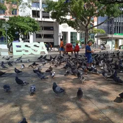 Parque Santander - Bucaramanga