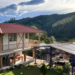 Coffee Farm Tours (Fincas Cafeteras) - Caldas