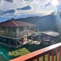 Coffee Farm Tours (Fincas Cafeteras) - Caldas