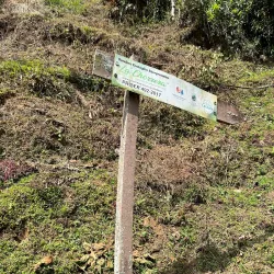 La Chorrera Waterfall - Caldas