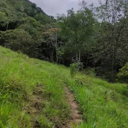 La Chorrera Waterfall - Caldas