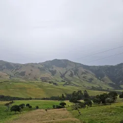 Los Nevados National Natural Park - Caldas