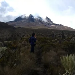 Los Nevados National Natural Park - Caldas
