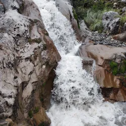 Los Nevados National Natural Park - Caldas