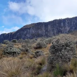 Los Nevados National Natural Park - Caldas
