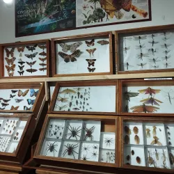 Museum of Natural History of Caldas - Caldas