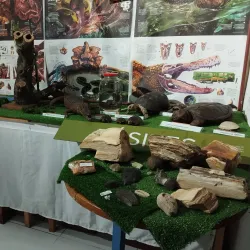 Museum of Natural History of Caldas - Caldas